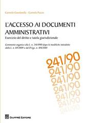 L' accesso ai documenti amministrativi. Esercizio del diritto e tutela giurisdizionale