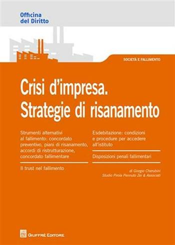 Crisi d'impresa. Strategie di risanamento - Giorgio Cherubini - Libro Giuffrè 2011, Officina. Società e fallimento | Libraccio.it