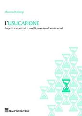 L' usucapione. Aspetti sostanziali e profili processuali controversi