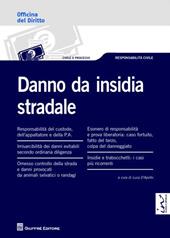 Danno da insidia stradale