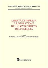 Liberta' di impresa e regolazione del nuovo diritto dell'energia
