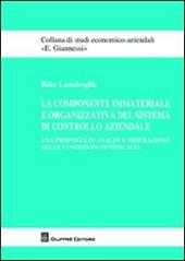 La componente immateriale e organizzativa del sistema di controllo aziendale. Una proposta di analisi e misurazione delle condizioni di efficacia