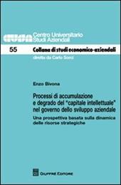 Processi di accumulazione e degrado del «capitale intellettuale» nel governo dello sviluppo aziendale. Una prospettiva basata sulla dinamica delle risorse strategich