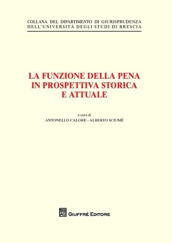 La funzione della pena in prospettiva storica e attuale  - Libro Giuffrè 2013, Univ. Brescia-Dipartimento giurisprudenza | Libraccio.it