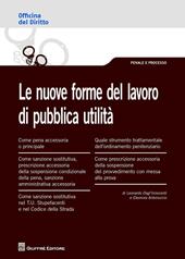 Le nuove forme del lavoro di pubblica utilità 