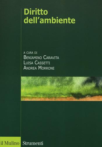 Diritto dell'ambiente  - Libro Il Mulino 2016, Strumenti | Libraccio.it