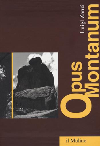 Opus montanum. Scritti sulla montagna - Luigi Zanzi - Libro Il Mulino 2018, Fuori collana | Libraccio.it