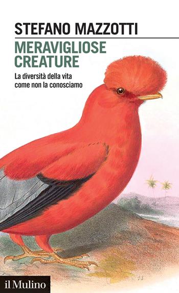 Meravigliose creature. La diversità della vita come non la conosciamo - Stefano Mazzotti - Libro Il Mulino 2024, Intersezioni | Libraccio.it