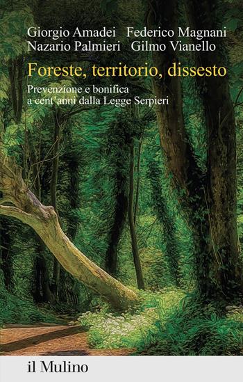 Foreste, territorio, dissesto. Prevenzione e bonifica a cent'anni dalla Legge Serpieri - Giorgio Amadei, Federico Magnani, Nazario Palmieri - Libro Il Mulino 2024, Percorsi | Libraccio.it
