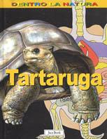 La tartaruga - Gillian Houghton - Libro Jaca Book 2004, Dentro la natura | Libraccio.it