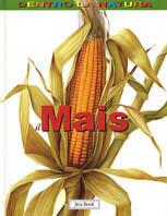 Il mais - Andrew Hipp - Libro Jaca Book 2004, Dentro la natura | Libraccio.it