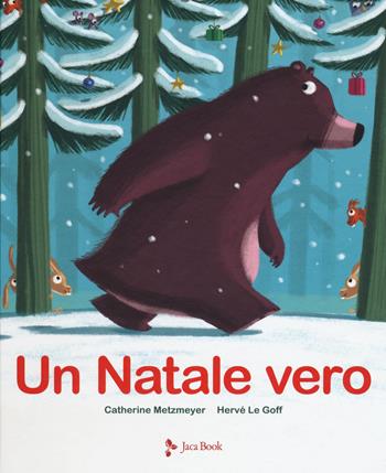 Un Natale vero - Catherine Metzmeyer, Hervé Le Goff - Libro Jaca Book 2020, Ragazzi | Libraccio.it