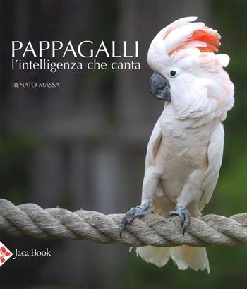 Pappagalli. L'intelligenza che canta. Ediz. a colori - Renato Massa - Libro Jaca Book 2018, Illustrati. Arte mondo | Libraccio.it