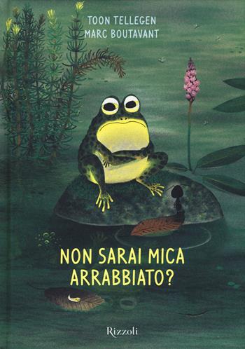 Non sarai mica arrabbiato? Ediz. illustrata - Toon Tellegen, Marc Boutavant - Libro Rizzoli 2014 | Libraccio.it