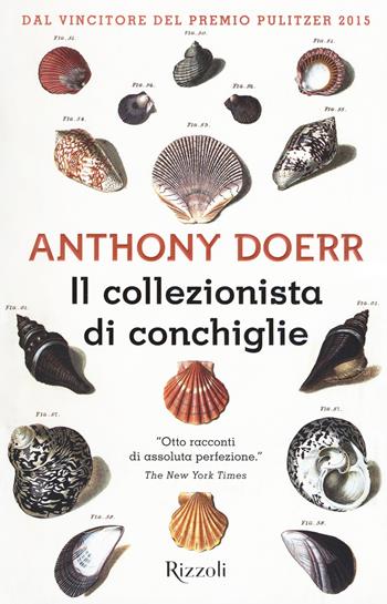 Il collezionista di conchiglie - Anthony Doerr - Libro Rizzoli 2017, Scala stranieri | Libraccio.it