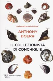 Il collezionista di conchiglie