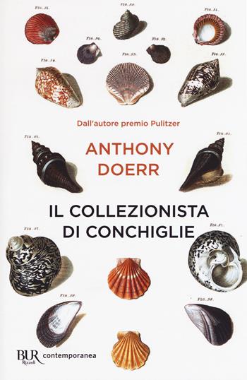 Il collezionista di conchiglie - Anthony Doerr - Libro Rizzoli 2019, BUR Contemporanea | Libraccio.it