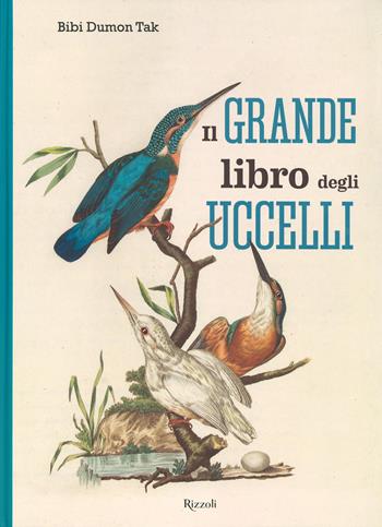 Il grande libro degli uccelli. Ediz. a colori - Bibi Dumon Tak - Libro Rizzoli 2019 | Libraccio.it