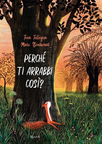 Perché ti arrabbi così? Ediz. a colori - Toon Tellegen, Marc Boutavant - Libro Rizzoli 2021, Varia illustrati | Libraccio.it