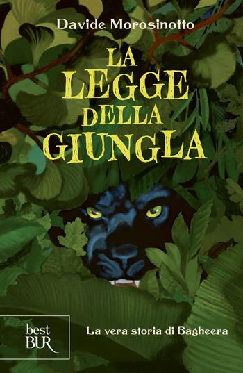 La legge della giungla. La vera storia di Bagheera - Davide Morosinotto - Libro Rizzoli 2023 | Libraccio.it