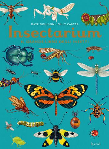 Insectarium. Il grande libro degli insetti. Ediz. a colori - Dave Goulson, Emily Carter - Libro Rizzoli 2024 | Libraccio.it