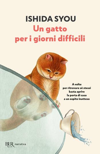 Un gatto per i giorni difficili - Syou Ishida - Libro Rizzoli 2025, BUR Narrativa | Libraccio.it
