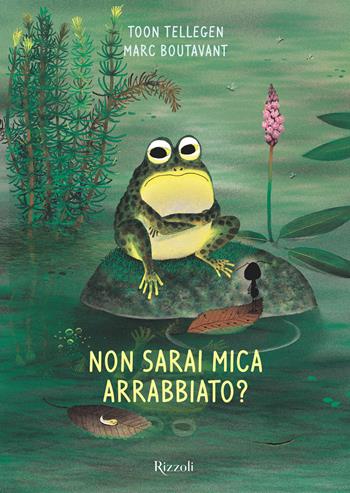 Non sarai mica arrabbiato? Ediz. illustrata - Toon Tellegen - Libro Rizzoli 2025, Albi illustrati | Libraccio.it
