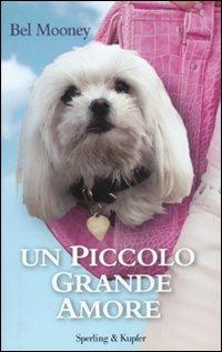 Un piccolo grande amore - Bel Mooney - Libro Sperling & Kupfer 2011, Parole | Libraccio.it