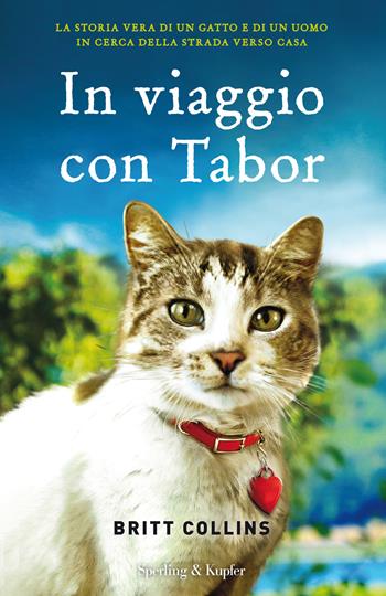 In viaggio con Tabor - Britt Collins - Libro Sperling & Kupfer 2018, Pandora | Libraccio.it