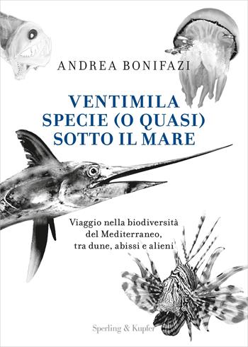 Ventimila specie (o quasi) sotto il mare. Viaggio nella biodiversita` del Mediterraneo, tra dune, abissi e alieni - Andrea Bonifazi - Libro Sperling & Kupfer 2023, Varia | Libraccio.it