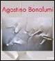 Agostino Bonalumi. Premio artsista dell'anno 2006. Ediz. illustrata