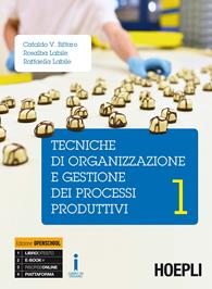 Tecniche di organizzazione e gestione dei processi produttivi. Con e-book. Con espansione online. Vol. 1 - Cataldo Vincenzo Biffaro, Rosalba Labile, Raffaella Labile - Libro Hoepli 2016 | Libraccio.it