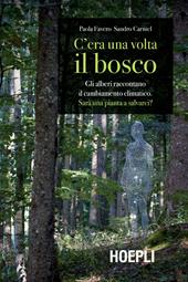 C'era una volta il bosco. Gli alberi raccontano il cambiamento climatico: sarà una pianta a salvarci?