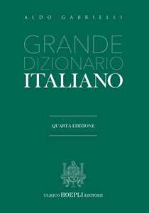 Image of Grande dizionario italiano