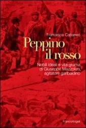 Peppino il Rosso. Nobili ideali e vita grama di Giuseppe Mazzoleni, agitatore garibaldino