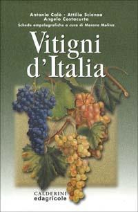 Vitigni d'Italia. Schede ampelografiche - Antonio Calò, Attilio Scienza, Angelo Costacurta - Libro Edagricole (Bologna) 2001 | Libraccio.it