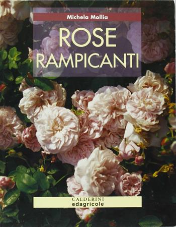 Rose rampicanti - Michela Mollia - Libro Edagricole 2010 | Libraccio.it
