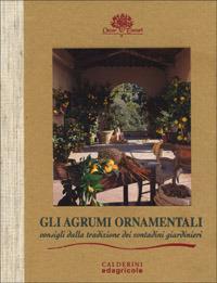 Gli agrumi ornamentali. Consigli dalla tradizione dei contadini giardinieri - Giorgio Tintori, Sergio Tintori - Libro Edagricole (Bologna) 2000 | Libraccio.it