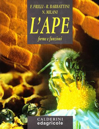 L' ape. Forme e funzioni - Franco Frilli, Renzo Barbattini, Norberto Milani - Libro Edagricole 2010 | Libraccio.it