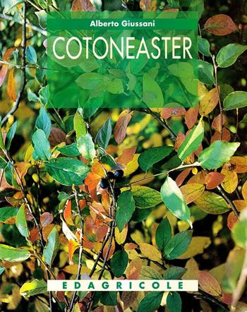 Cotoneaster - Alberto Giussani - Libro Edagricole 2010 | Libraccio.it