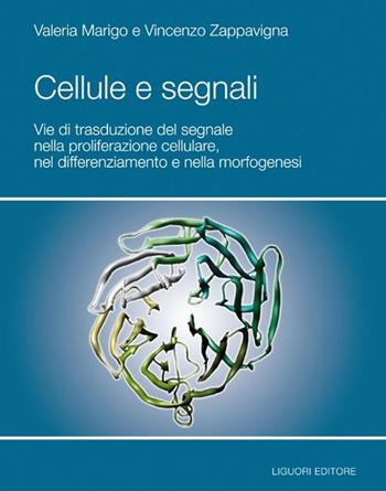 Cellule e segnali. Vie di trasduzione del segnale nella proliferazione cellulare e nella morfogenesi - Valeria Marigo, Vincenzo Zappavigna - Libro Liguori 2013 | Libraccio.it