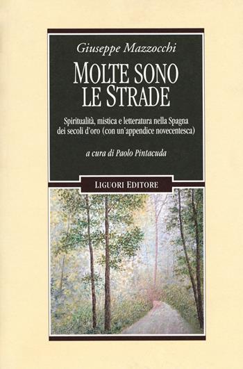 Molte sono le strade. Spiritualità, mistica e letteratura nella Spagna dei secoli d'oro (con un'appendice novecentesca) - Giuseppe Mazzocchi - Libro Liguori 2018, Barataria saggi | Libraccio.it