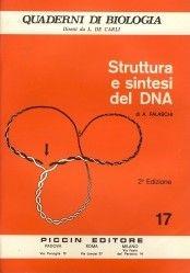 Struttura e sintesi del DNA - Arturo Falaschi - Libro Piccin-Nuova Libraria 1980, Quaderni di biologia.Serie rossa:animale | Libraccio.it