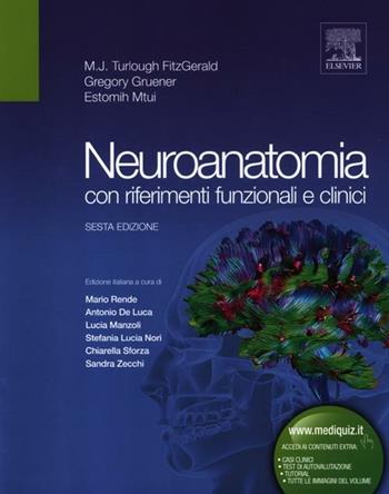 Neuroanatomia con riferimenti funzionali e clinici. Ediz. illustrata - M. J. Fitzgerald Turlough, Gregory Gruener, Estomih Mtui - Libro Elsevier 2012 | Libraccio.it
