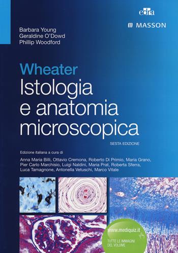 Wheater. Istologia e anatomia microscopica - Barbara Young, John W. Heath, Phillip Woodford - Libro Edra Masson 2014 | Libraccio.it