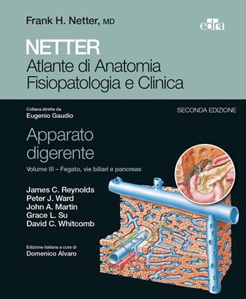 Netter. Atlante di anatomia fisiopatologia e clinica. Apparato digerente. Vol. 3: Fegato, vie biliari e pancreas.  - Libro Edra 2017 | Libraccio.it