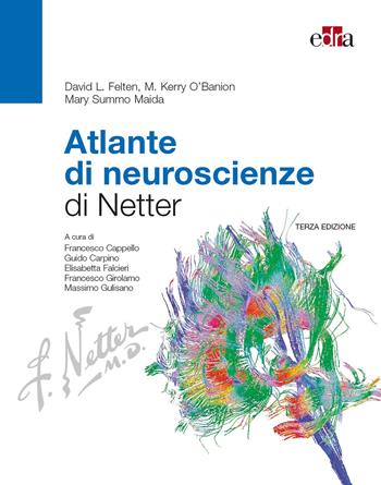Atlante di neuroscienze di Netter - David L. Felten, M. Kerry O'Banion, Mary Summo Maida - Libro Edra 2017 | Libraccio.it