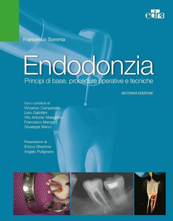 Endodonzia. Principi di base, procedure operative e tecniche - Francesco Somma - Libro Edra 2016 | Libraccio.it