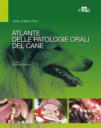 Atlante delle patologie orali del cane - Javier Collados Soto - Libro Edra 2017 | Libraccio.it