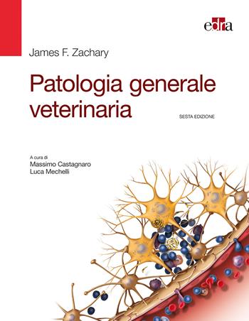 Patologia generale veterinaria - James F. Zachary - Libro Edra 2018 | Libraccio.it